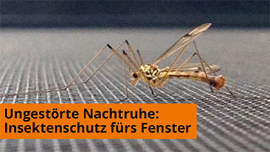 Mücken und Fliegen sicher aussperren